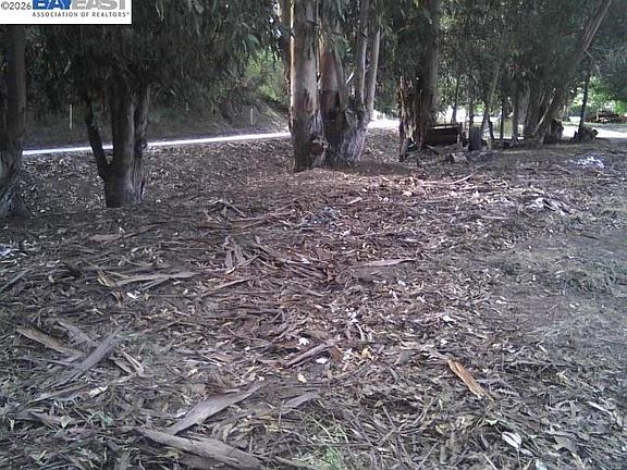 3rd image of 0 Morrison Canyon Rd