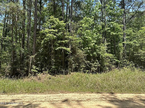 Hundred Acre Rd, Neely, MS 39461 | MLS #4054303 | Zillow