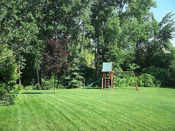 Creek and wetland's behind