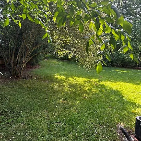 10790 Waters Rd — Photo 10