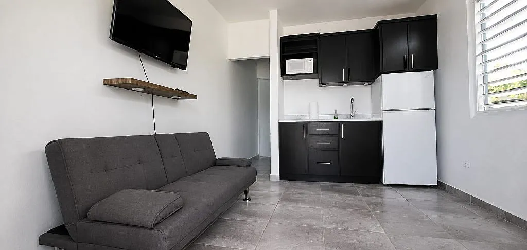 1 bed, 1.0 bath, 400 sqft, $1,000 — Photo 3