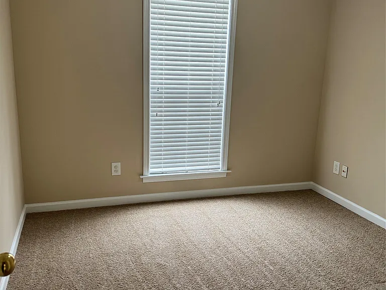 8213 Dison Dr — Photo 6