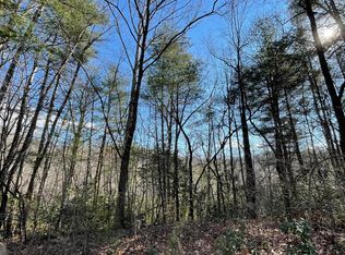 42 Granite Drive Fires Creek Cv, Hayesville, NC 28904