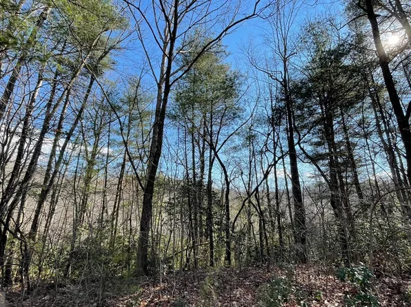 42 Granite Drive Fires Creek Cv, Hayesville, NC 28904