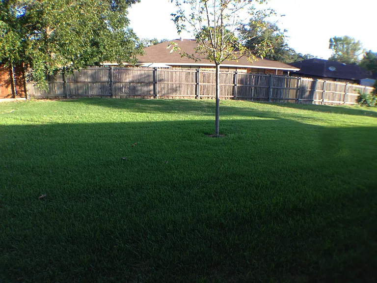 231 Bluebonnet St — Photo 2