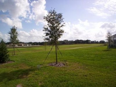 4352 Arlington Ridge Blvd, Leesburg, FL, 34748