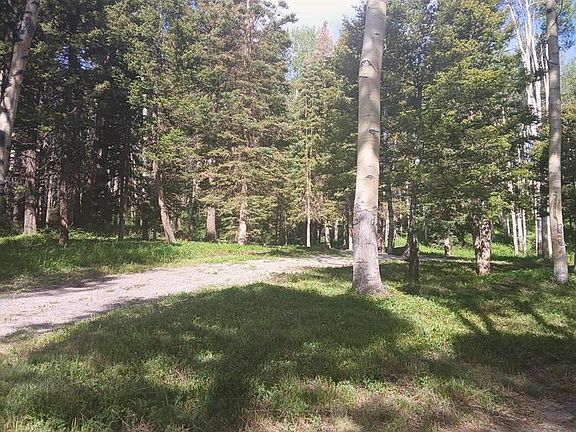 4th image of 561 Crest Drive