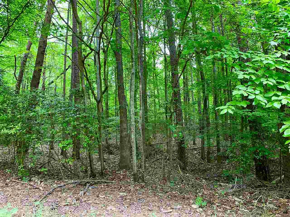 1st image of 117 Carolina Club Dr