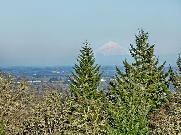 5th image of 15651 SW Dusty Dr