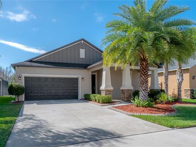 11718 Winterset Cove Dr, Riverview, FL, 33579