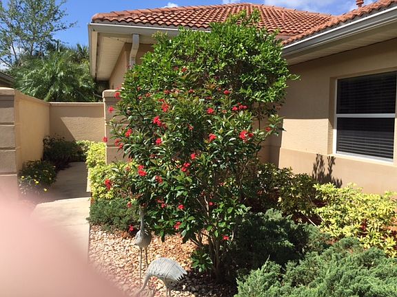 3rd image of 10716 Avila Cir