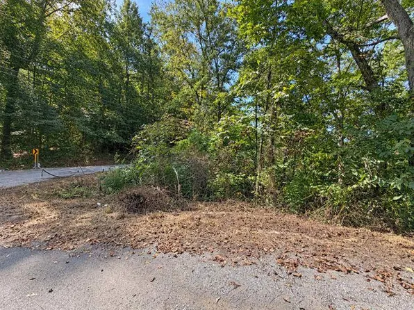0 Buckner Rd, Tornado, WV 25202