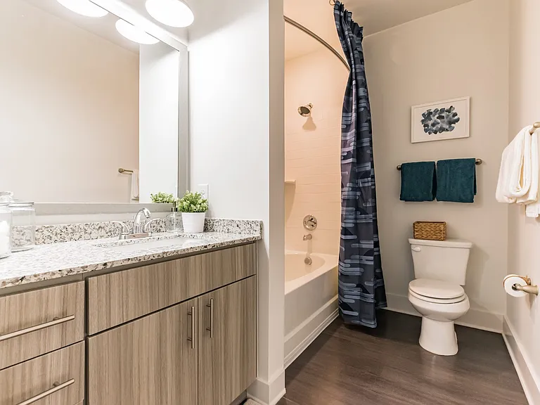 Secondary Bathroom, View of toilet next to Tub Shower and Single Sink/Vanity