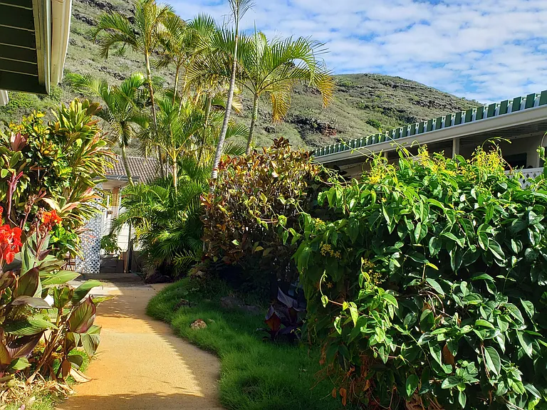 441 Kuliouou Rd #D — Photo 23