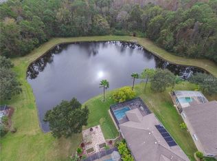 12550 Blazing Star Dr, Tampa, FL 33626