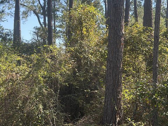 5th image of 1A Walker Carter Rd
