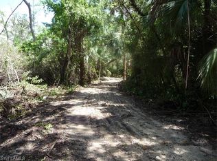 4890 38th Ave SE, Naples, FL 34117