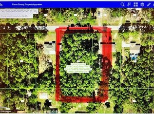 Green Willow Run LOT 155, Wesley Chapel, FL 33544