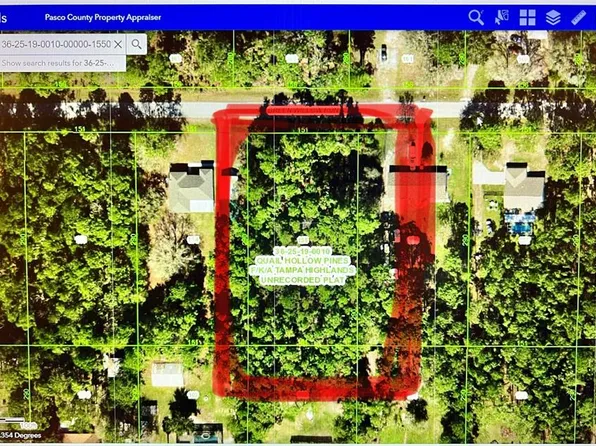 Green Willow Run Lot 155, Wesley Chapel, FL 33544