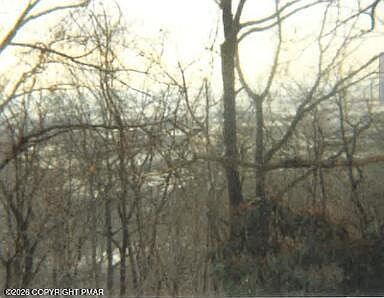 5th image of 0 Main St