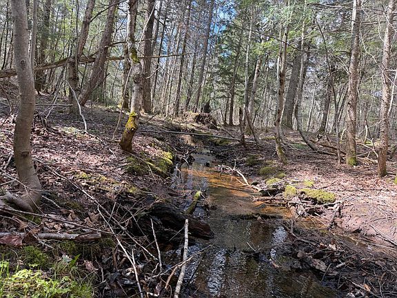 5th image of Black River Rd