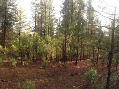 10648 Bucktail Dr, Groveland, CA, 95321