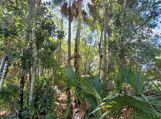 100 Oconnor Dr, Satsuma, FL 32189