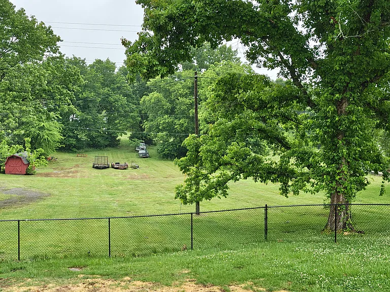 Back/side yard view