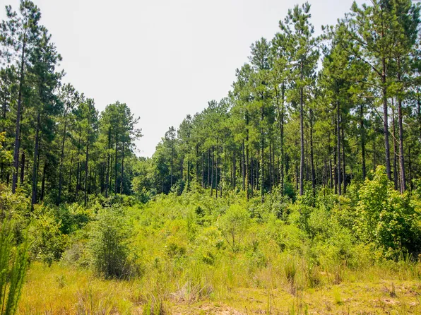 0D Epley Rd, Sumrall, MS 39482