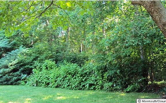 4th image of 5 Valley Forge Drive #B