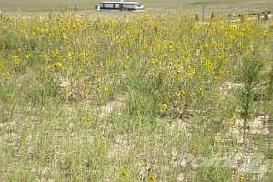 Sloping Meadow with Level Build Site