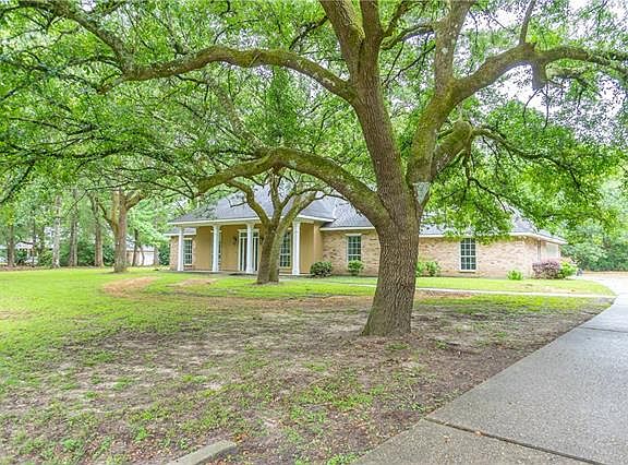 2nd image of 31 Millers Creek Ln