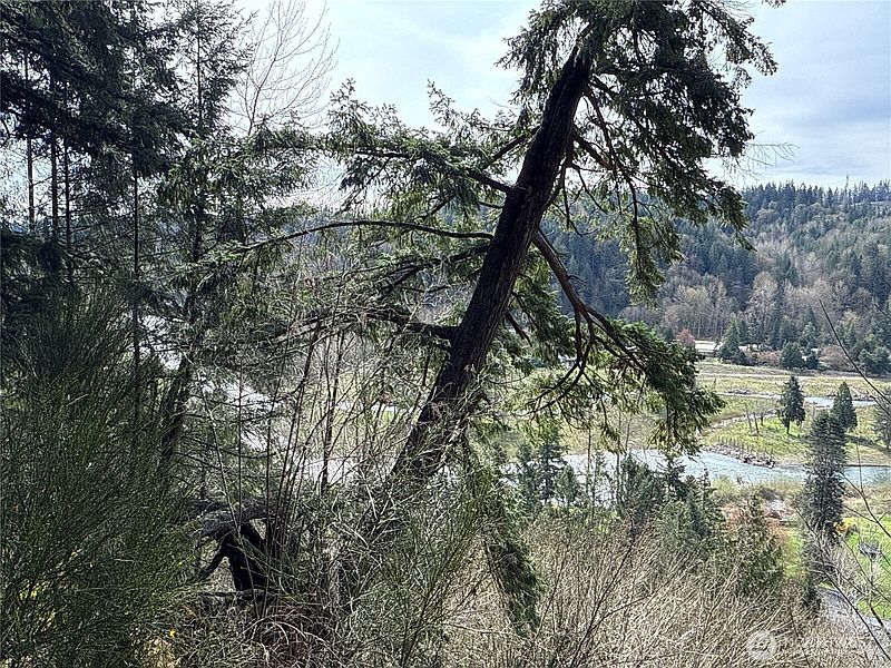 4th image of 149 XX 175th Avenue SE