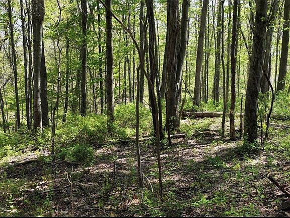 2nd image of 1166 County Road 2075