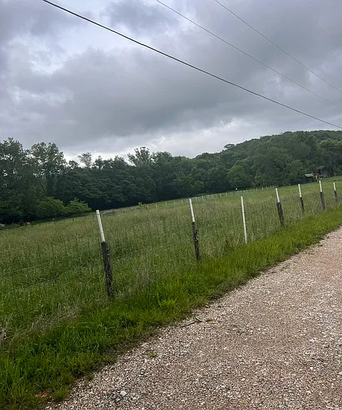 Front field