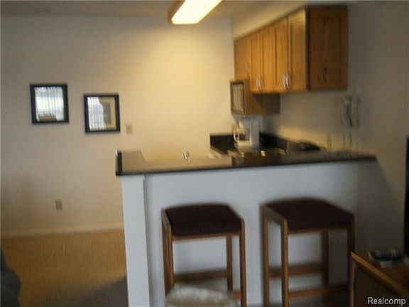 3rd image of 100 Michigan Ave #28