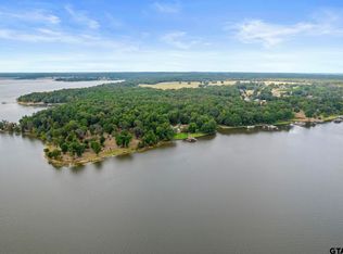 62 County Road 2938 S, Pittsburg, TX 75686