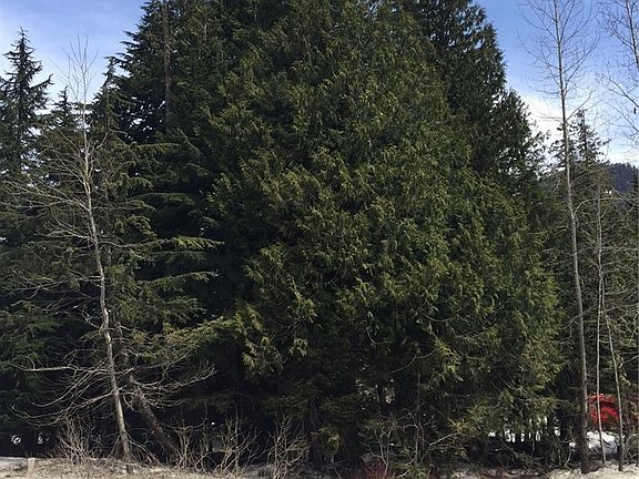 5th image of 38 Hyak Dr E Lot 38
