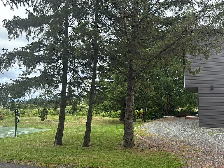 Old Marine Dr — Photo 19