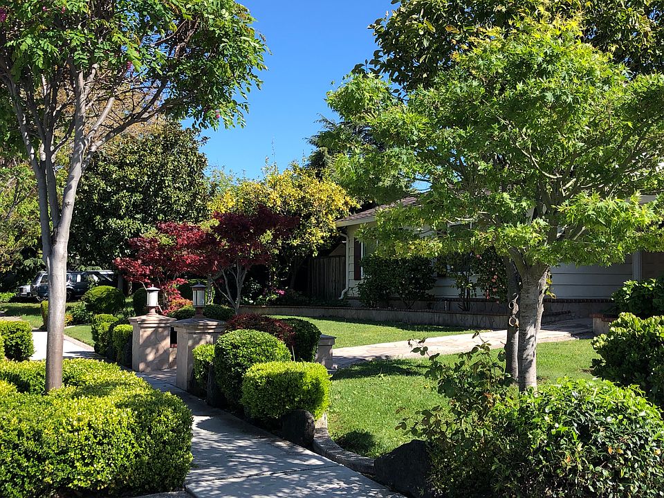 Front yard
