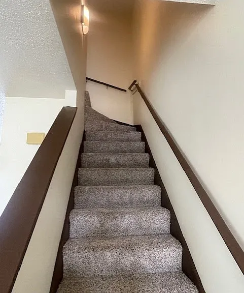 Willow Springs Apartments — Photo 8