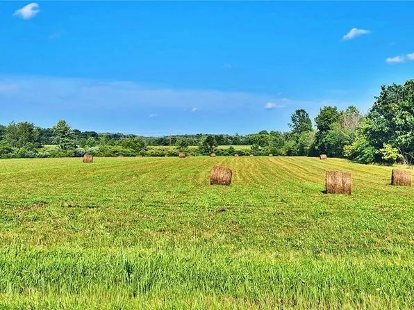 Madison Rd, Thompson, OH 44086