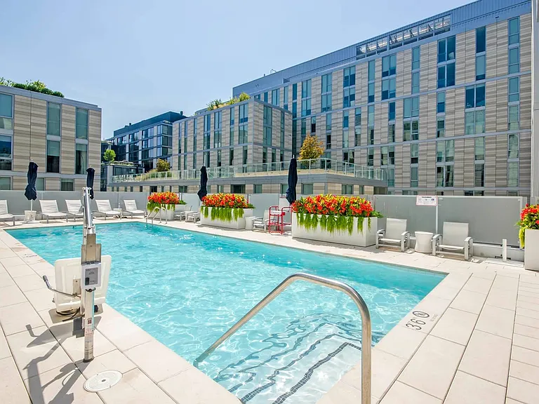 Dive into calm, right in the heart of the city.