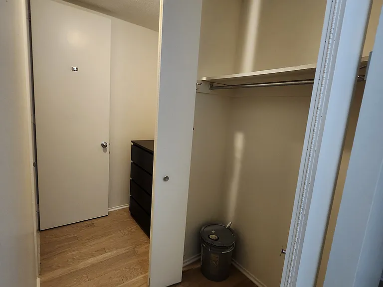 405 N Wabash Ave #1003 — Photo 11