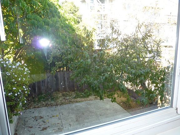 Backyard View from the rear Bedrooms