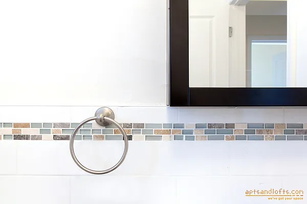 Rented by aptsandlofts.com | media 7