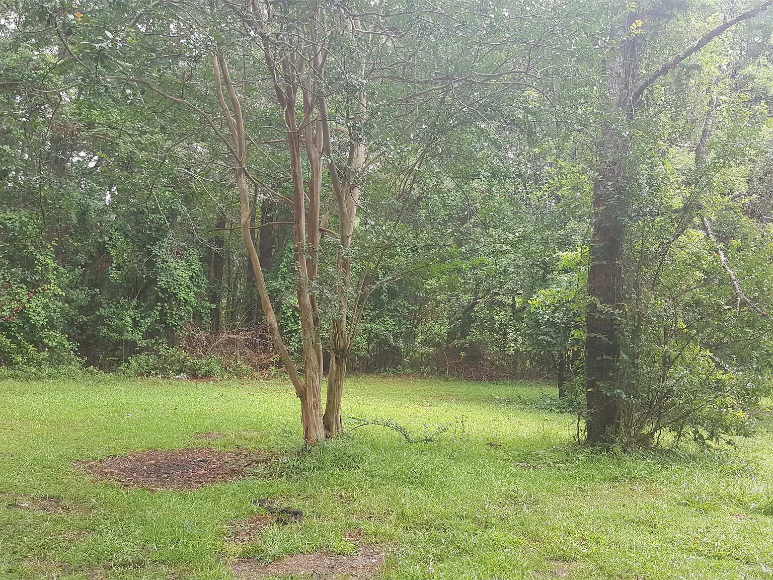 1207 Hampton Road Orangeburg, SC 29115 - 1 — Photo 3