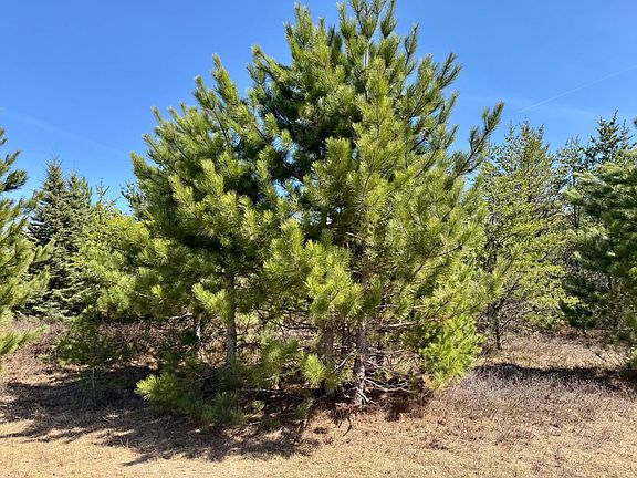 4th image of LOT 17 Green Apple Ct