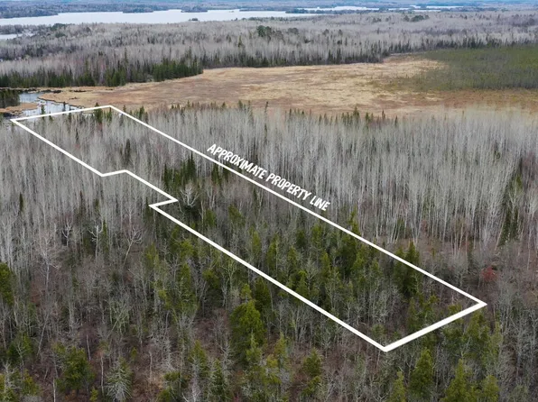 PARCEL 15 Highway 115, Tower, MN 55790