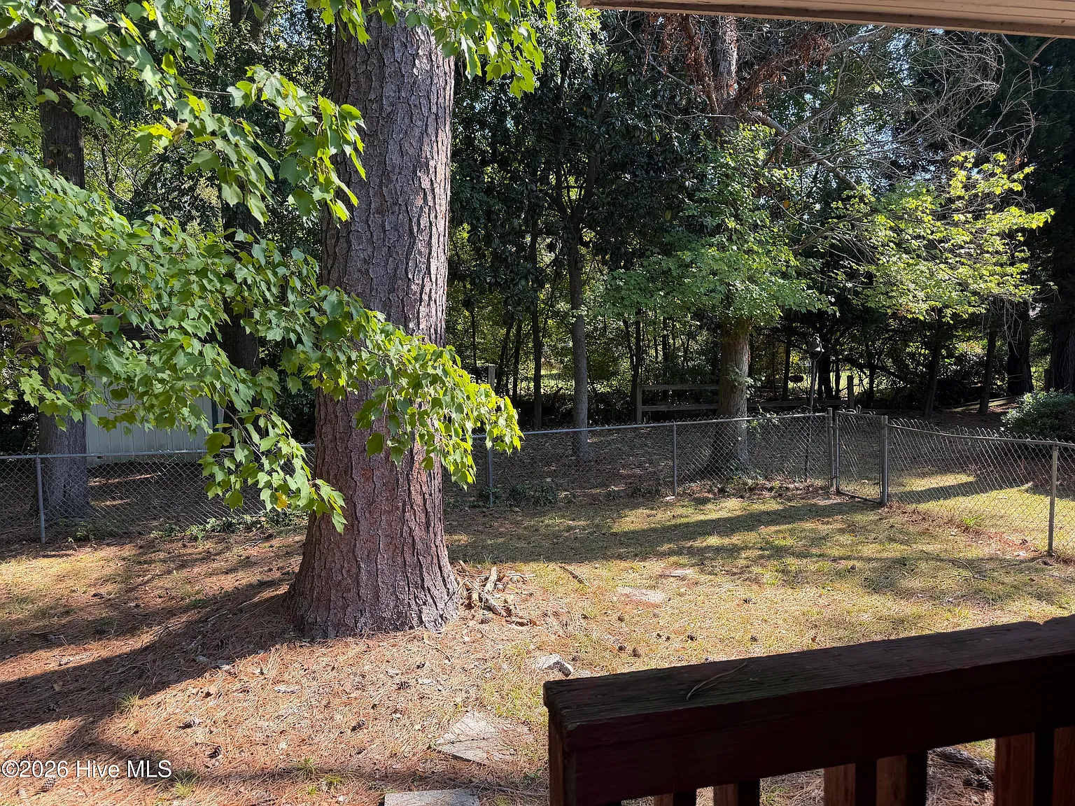 3 bed, 2.0 bath, 1772 sqft, $2,000 — Photo 4